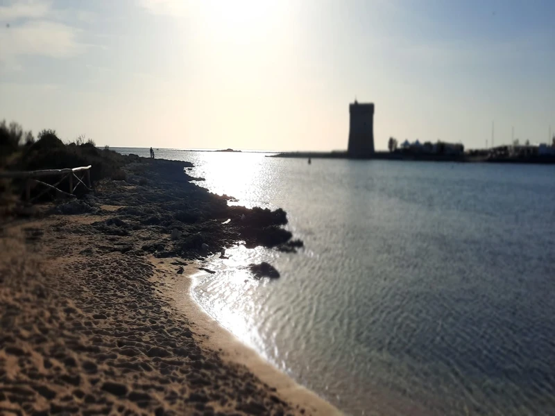 Salentissimo.it: The Beach Sofia - Porto Cesareo, Stränder i Salento