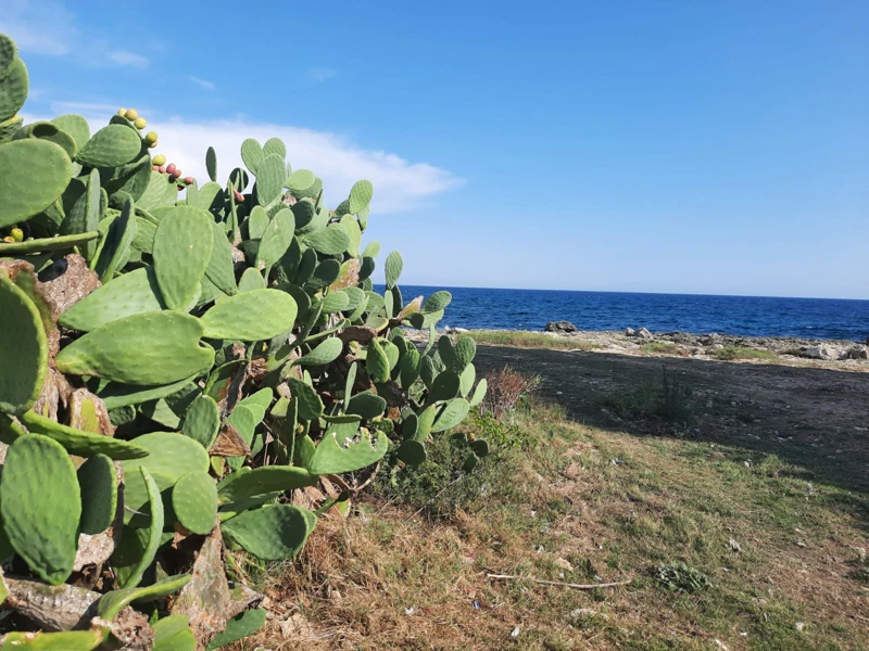 Salentissimo.it: Torre Colimena - Torre Colimena - Manduria, Praias do Salento