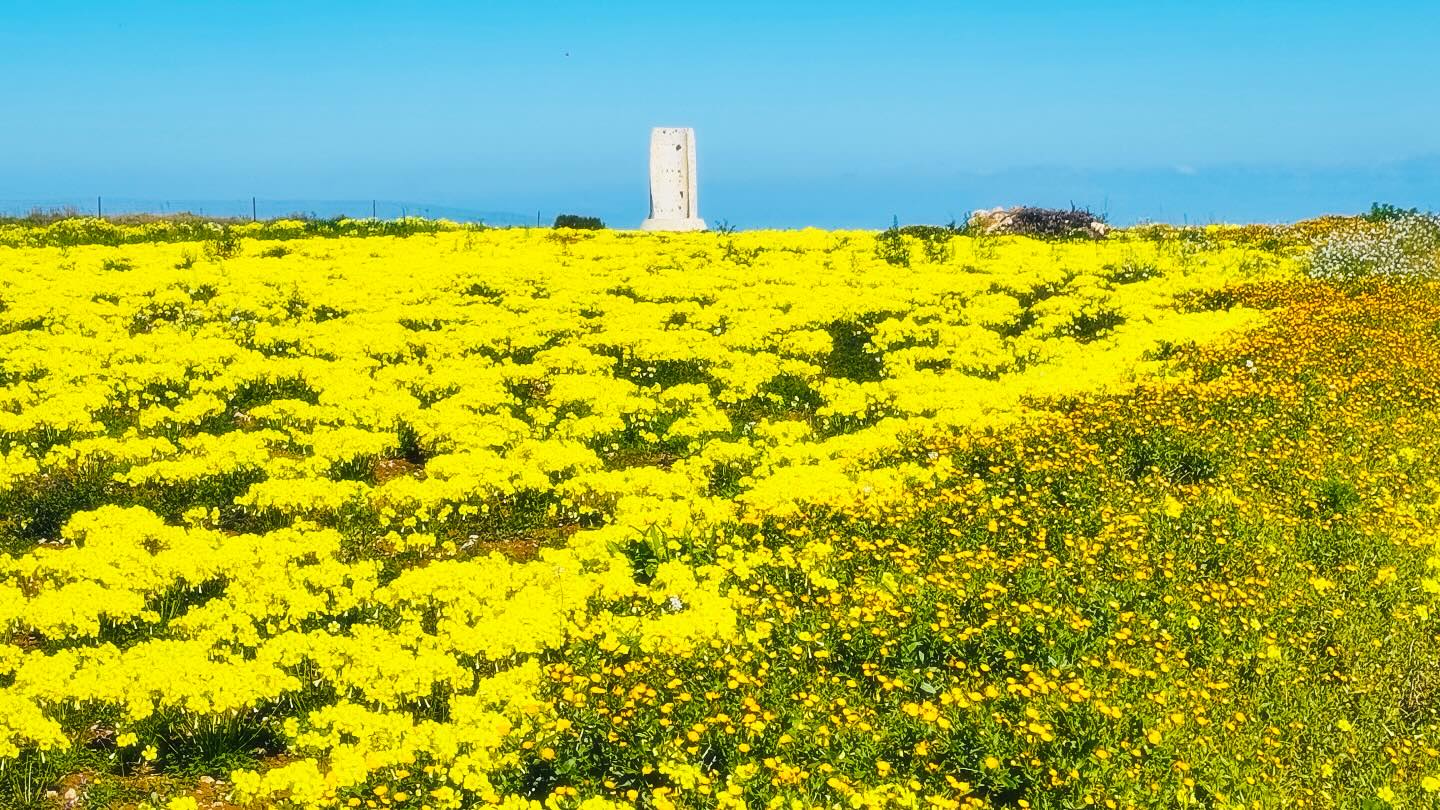 Salentissimo.it: Torre del Serpe - Otranto, Plages du Salento