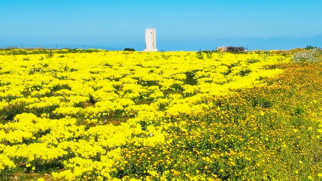 Salentissimo.it: Torre del Serpe - Otranto, Salento-strande