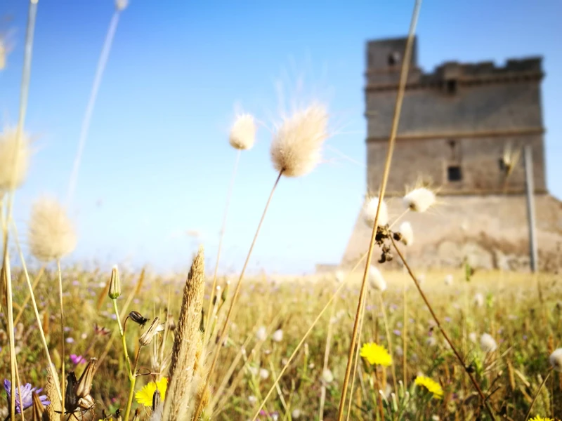 Salentissimo.it: Torre di Sant Isidoro - Sant Isidoro - Nardò, spiagge del Salento