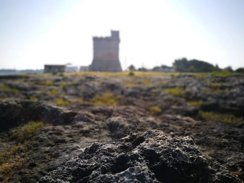 Salentissimo.it: Torre di Sant Isidoro - Sant Isidoro - Nardò, spiagge del Salento