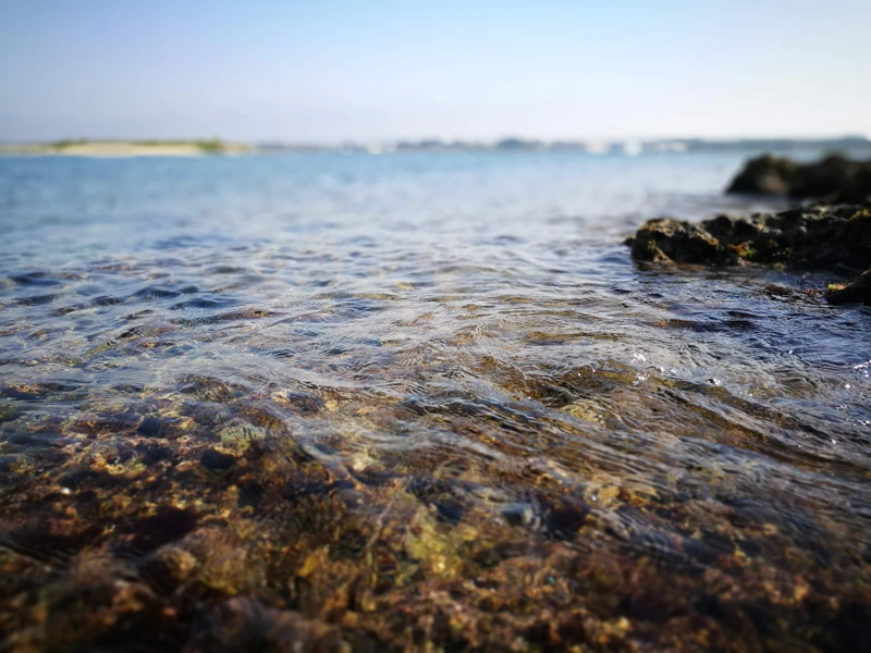 Salentissimo.it: Torre di Sant Isidoro - Sant Isidoro - Nardò, spiagge del Salento