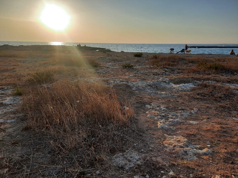 Salentissimo.it: Torre di Sant Isidoro - Sant Isidoro - Nardò, spiagge del Salento