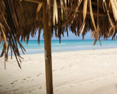 Salentissimo.it: Lido Malibù Beach - Torre San Giovanni - Ugento, spiagge del Salento