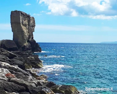 Salentissimo.it: Porto di Miggiano - Porto Miggiano - Santa Cesarea Terme, Плажове в Саленто