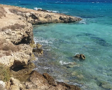 Salentissimo.it: Punta Pizzo - Torre del Pizzo - Gallipoli, Salento Strände