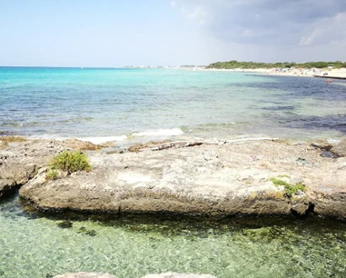 Salentissimo.it: Spiaggia di Punta Grossa - Punta Prosciutto - Porto Cesareo, Salento plajları