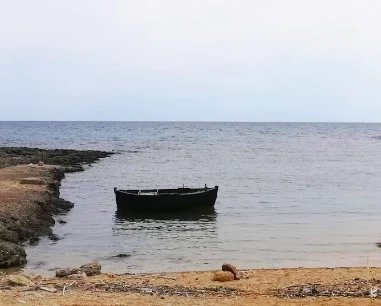 Salentissimo.it: Spiaggia di Serra Cicora - Porto Selvaggio - Nardò, Stranden van Salento