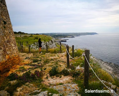 Salentissimo.it: Torre Minervino - Santa Cesarea Terme, spiagge del Salento