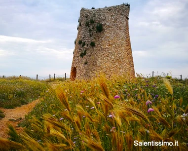 Salentissimo.it: Torre Minervino - Santa Cesarea Terme, Pláže Salento