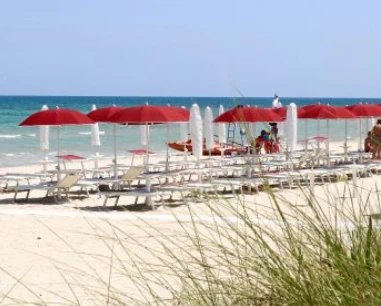 Salentissimo.it: Torre Rinalda Camping Village - Torre Rinalda - Lecce, spiagge del Salento